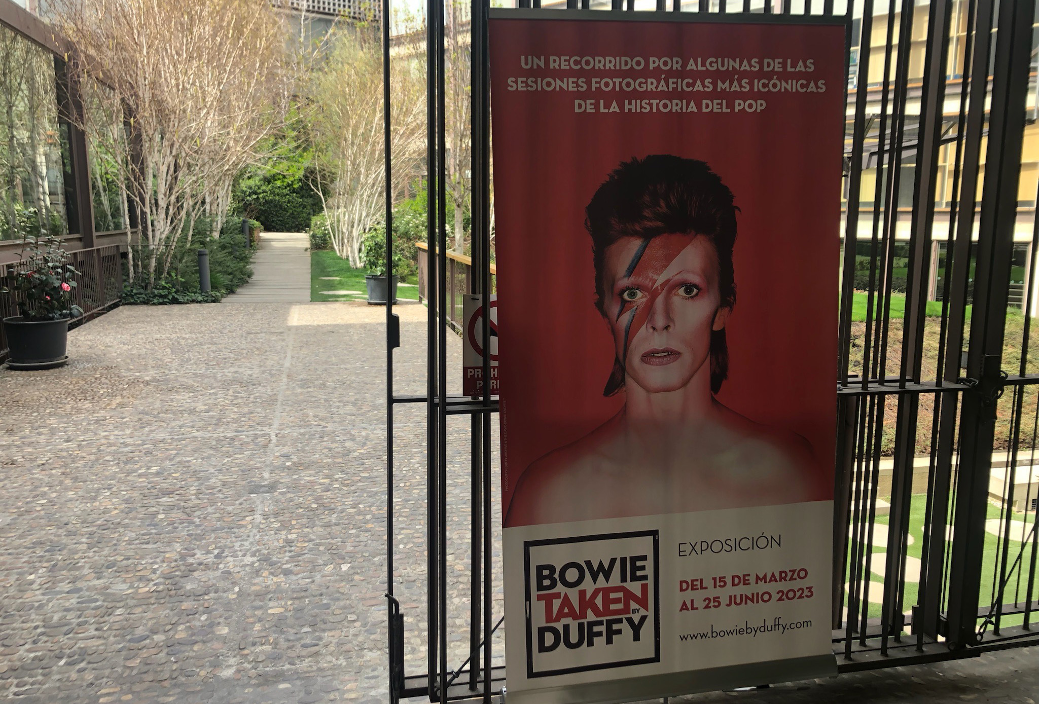 Bowie by Duffy la exposición que no te deberías perder